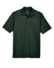 88181_Forest.webp