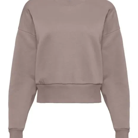 9087_Shitake.webp 9087_Shitake.webp