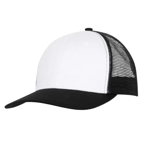 c1318_white-black.webp c1318_white-black.webp