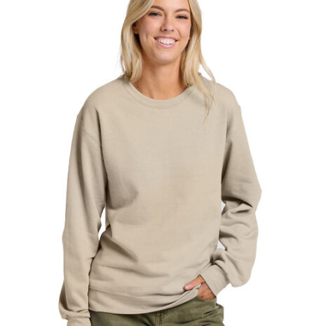 ic48mr_Putty.jpg ic48mr_Putty.jpg