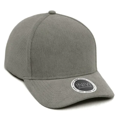 iv141_light-grey.webp iv141_light-grey.webp