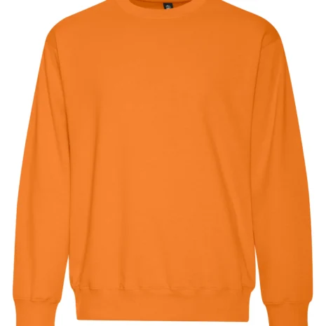 koi2240_orange-burst.webp
