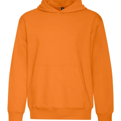 koi2250_orange-burst.webp koi2250_orange-burst.webp