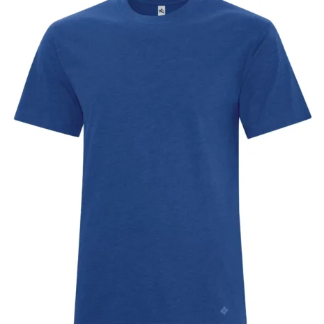 koi8060_lapis.webp koi8060_lapis.webp