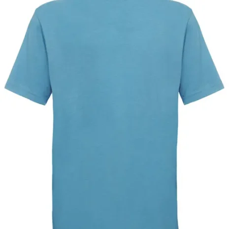 n6310_Vintage-Turquoise.webp n6310_Vintage-Turquoise.webp