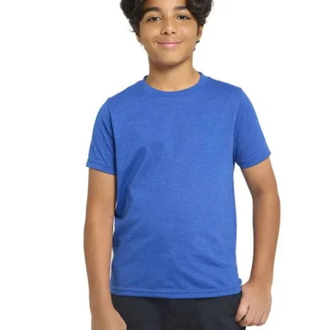 t1001b_Heather-Royal.webp t1001b_Heather-Royal.webp