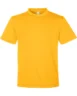 tt15y_Sport-Athletic-Gold.webp