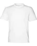 tt15y_White.webp